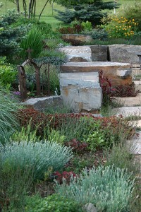 Garden - Landscape Design